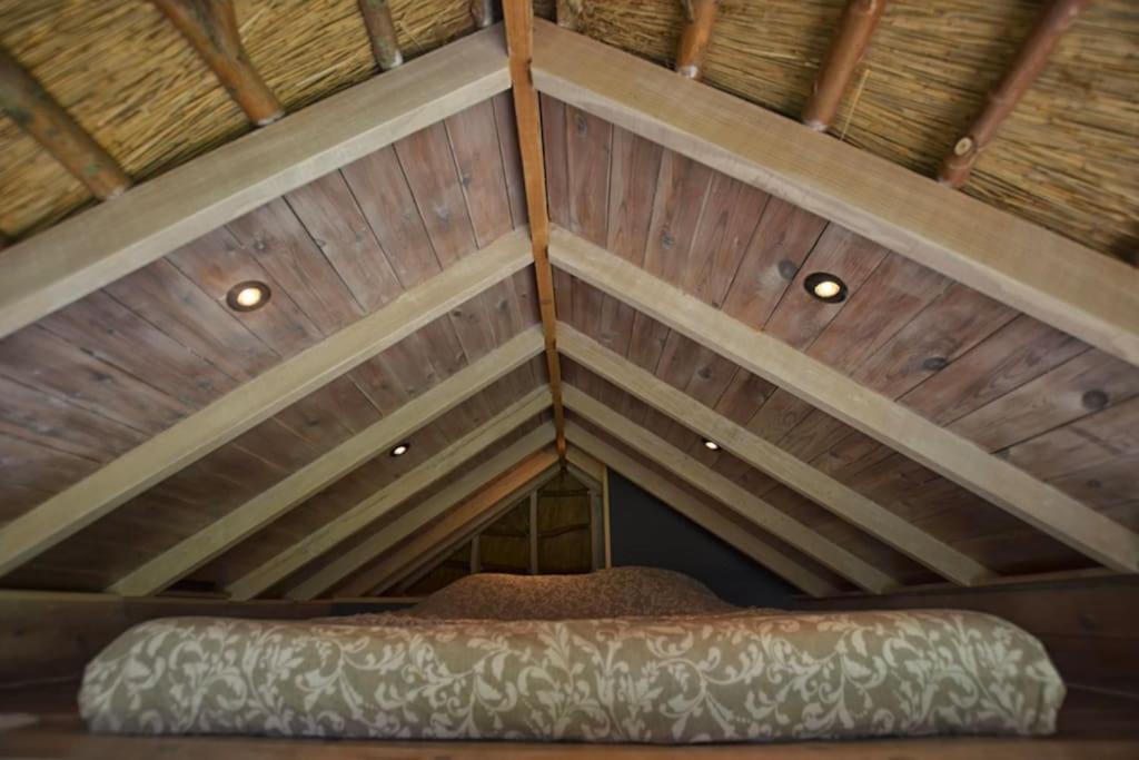 Villa Tiny In De Polders Zuienkerke Esterno foto